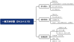 24年3月4日-3月10日一周计划