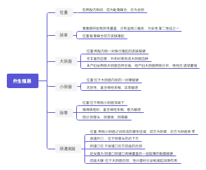 妇产科思维导图