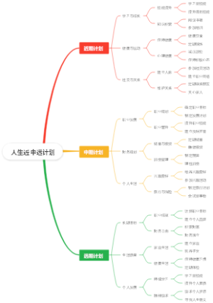人生近中远计划