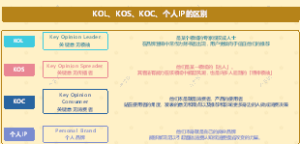 KOL、KOS、KOC、个人IP的区别