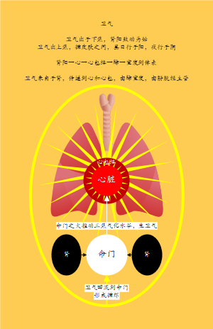 卫气生成原理