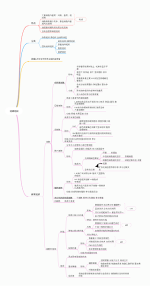结缔组织