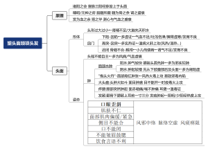 望头面颈项头发