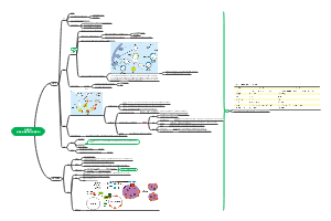 5.内膜系统（溶酶体与过氧化氢酶体）
