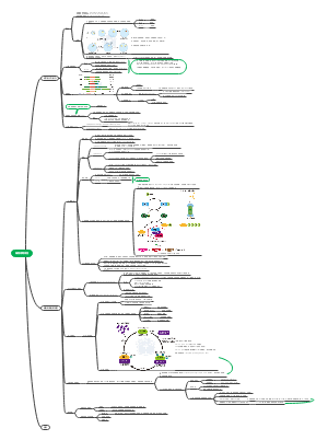 13.细胞周期调控
