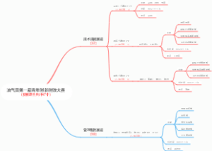 油气田第一届青年创新创效大赛（参赛项目共计47个）