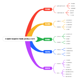 中国歌手到温哥华开展事业的商业计划书