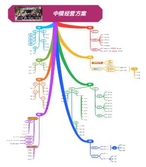 中模经营方案