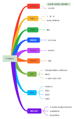 华支睾吸虫精要