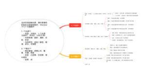 绘制光源、镜头和相机的知识点思维导图