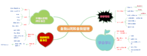 中考专题复习  自我认同和自我管理