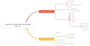organisation structure and str