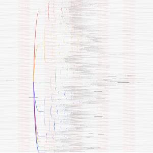 二级建造师市政思维导图