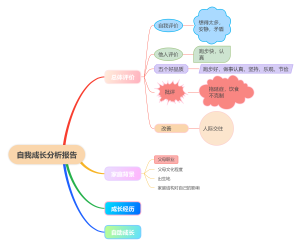 自我成长分析报告