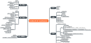 心理学导论 第二章 心理的起源和本性