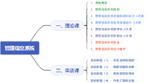 管理信息系统