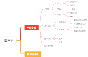 数字IP