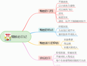 蜘蛛的日记