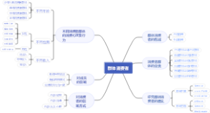 群体消费者