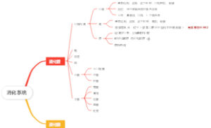 消化系统