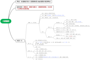 考研运动解剖组织之上皮组织