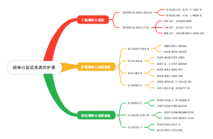 精神分裂症患者的护理(1)