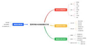 营养学碳水化物的糖份介绍