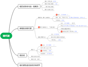 糖代谢