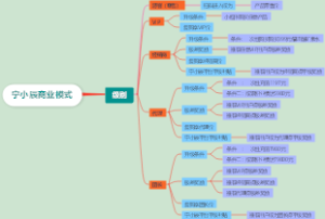 宁小辰商业模式