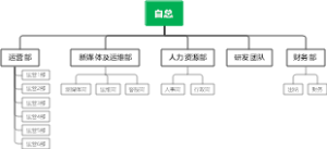 组织架构图