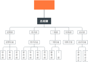组织架构
