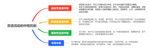 言语活动的中枢机制