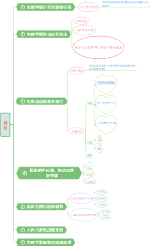 生理学绪论思维导图