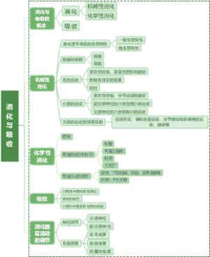 消化与吸收