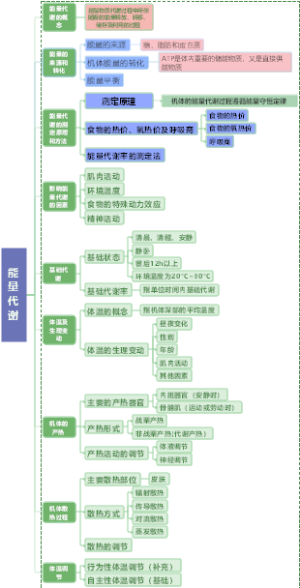 能量代谢