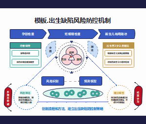 课题项目国自然申请机制图模板：出生缺陷防控机制图