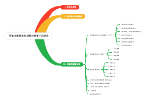 革美沅鑫颜系统战略目标年中启动会