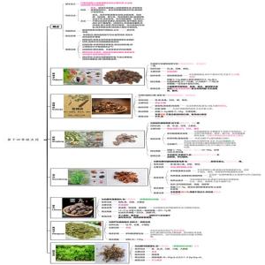 第十四章驱虫药