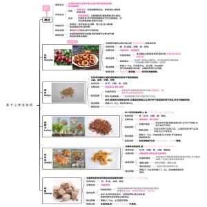 第十三章消食药