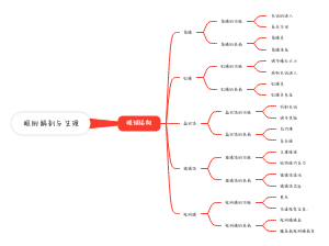眼的解剖与生理