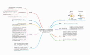 SHH基因座中CTCF的缺失改变了增强子-启动子之间的相互作用从而导致无足畸形