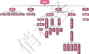 组织架构图