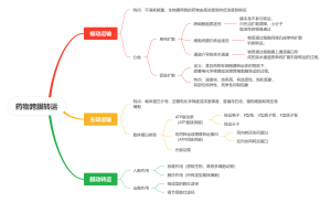药物跨膜转运