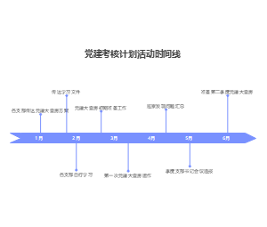 支部考核计划活动时间线