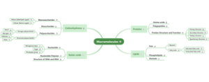 Macromolecules