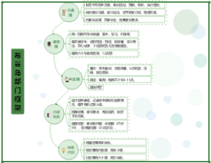 布谷岛部门框架设想