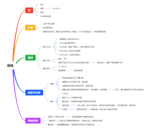 眼的检查