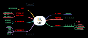 ATP生物学科知识思维导图