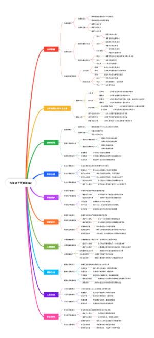 九年级下册道法知识(1)