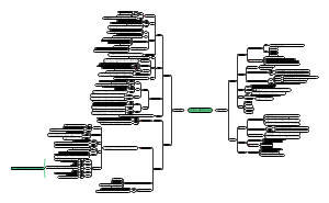 第二单元 理解权利义务